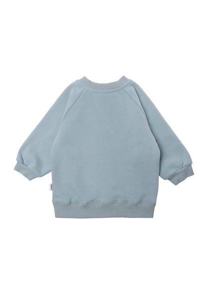 Sweatshirt in hellblau "Dinosaurier"